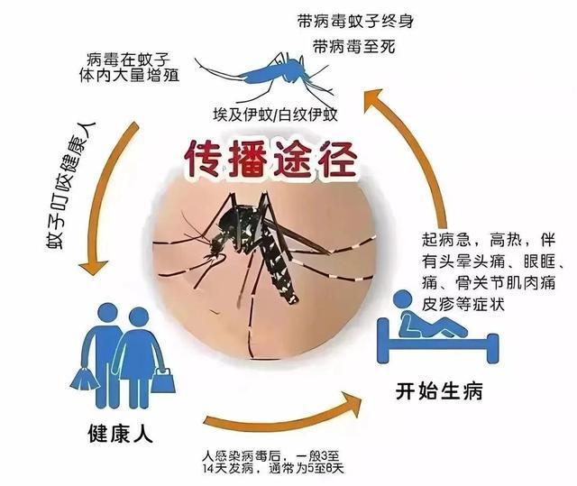 已有人中招！不见面也能传染！出游请注意(图3)