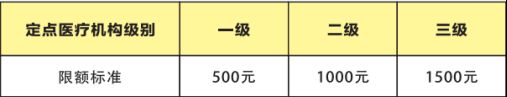 2025广州城乡居民医保待遇标准一览(图3)