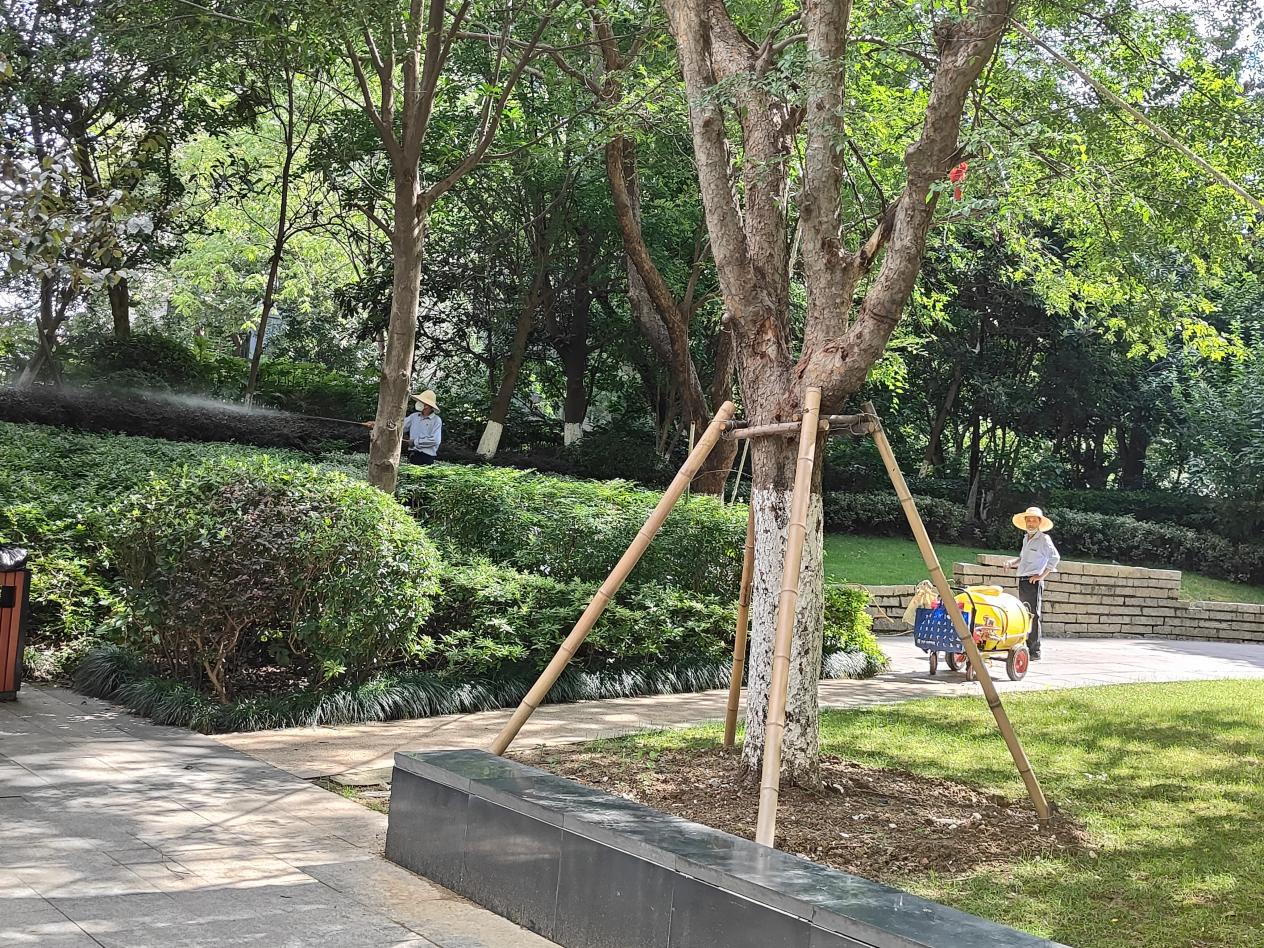 翠庭园社区：夏季园区蚊虫消杀营造舒适园区环境(图1)