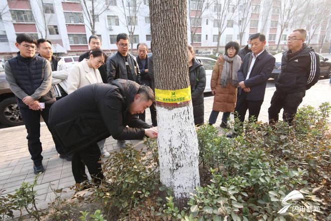 滨州：精准防控病虫害构筑城市生态安全堡垒(图2)