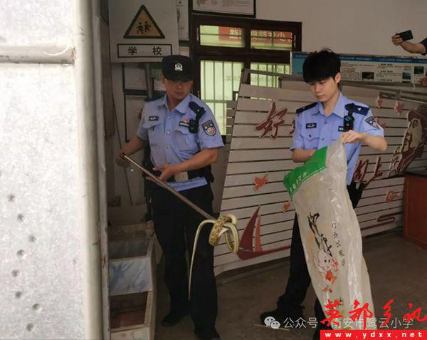 洪振阳为大新小学捐赠26台空调洪志扬率团赴西安参观学习(图12)