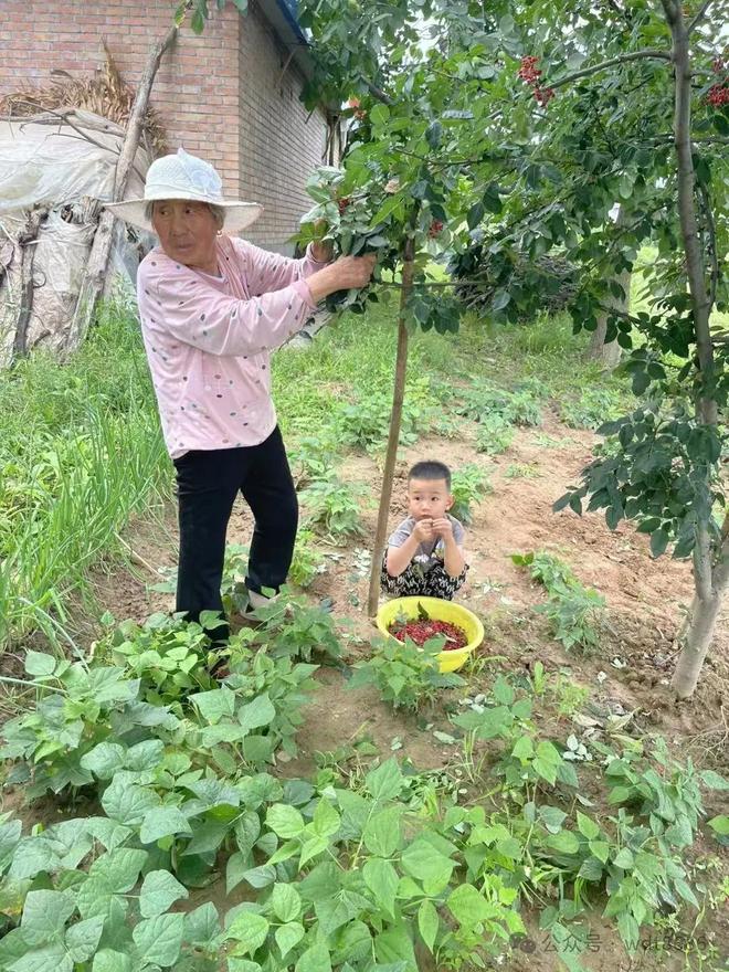 “不怕二月十八晴就怕二月十九阴”明日九为啥怕阴？(图3)