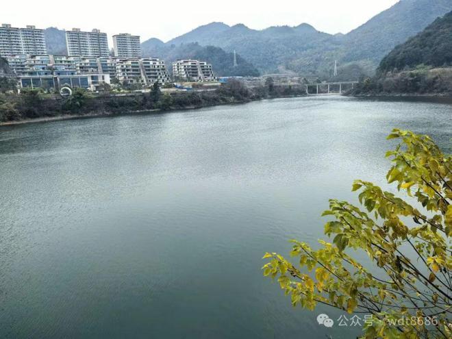 “不怕二月十八晴就怕二月十九阴”明日九为啥怕阴？(图4)