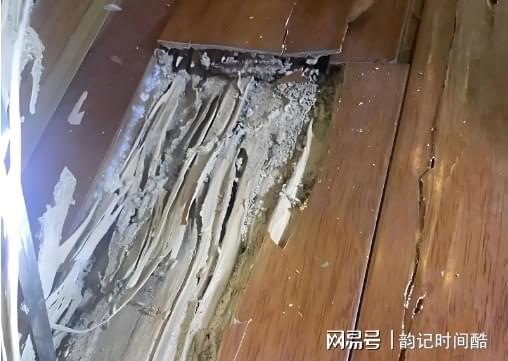 湘潭专业灭白蚁湘潭白蚁防治所电话消杀治理服务电话(图1)