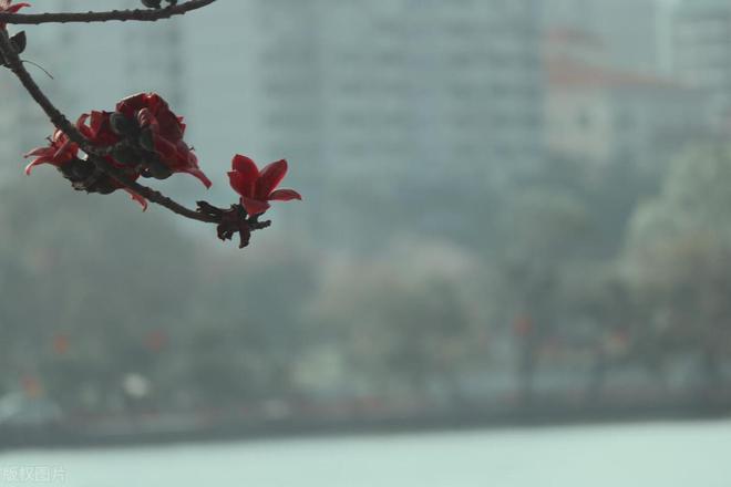 明日农历三月初一俗语“三月看初一”明天下雨和晴天啥说法？(图3)