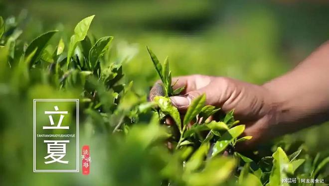 老话“早立夏冷晚立夏热”是什么意思？今年夏天热不热呢？(图2)