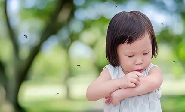 原来蚊子的最大克星不是蚊香？其实驱蚊很简单整晚开窗都不怕(图7)