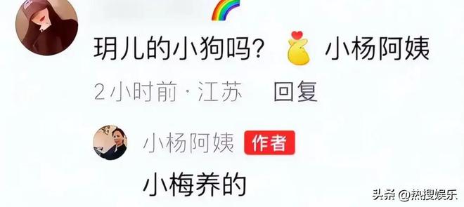 小杨阿姨回怼黑粉为大S和马筱梅发声首次公开俩孩子居住环境(图5)