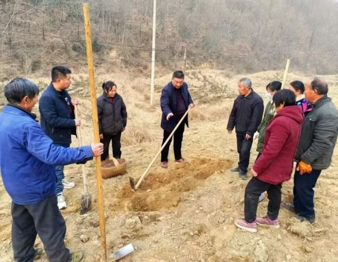 光山县凉亭乡：“田间课堂”助力茶产业提质增效(图2)