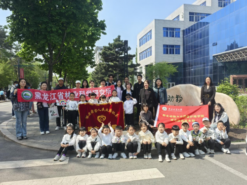 东北林业大学爱鸟协会开展“大手拉小手”沉浸式党课活动(图1)