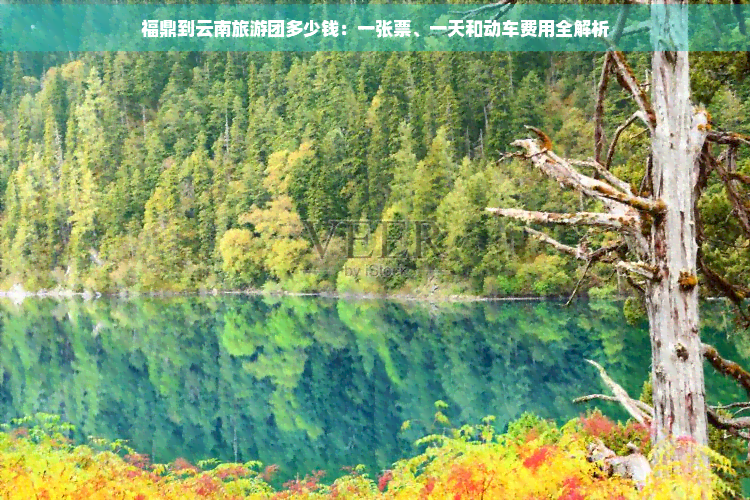 福鼎到云南旅游团多少钱：一张票、一天和动车费用全解析(图1)
