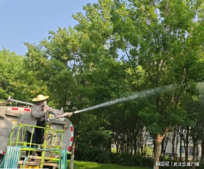 武汉洪山：多措并举开展病虫害防治守护绿化成果(图3)