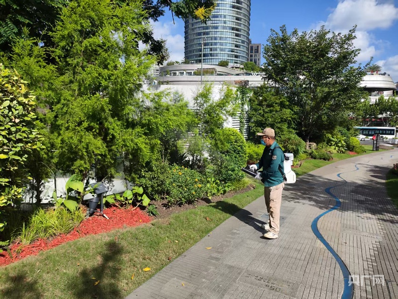 近期春季蚊虫活跃度增强 上海各区将集中开展蚊虫控制行动(图1)