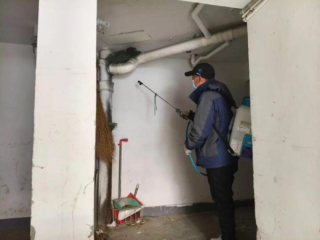 病媒防治进行时！必学的3个灭蚊小知识→(图1)