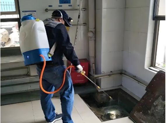 深圳专业上门灭白蚁电话深圳白蚁防治中心消杀治理服务(图1)