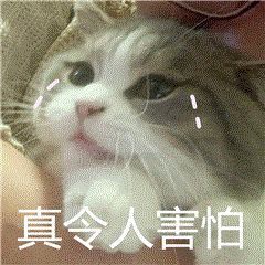 快速上升期！有扩散风险！(图2)