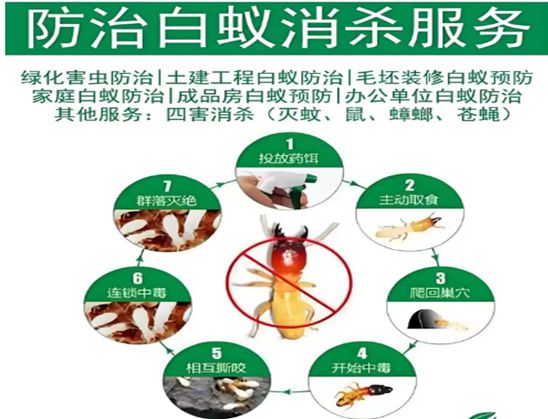 宣城本地附近白蚁防治公司电话-宣州区白蚁防治中心-灭白蚂蚁(图1)