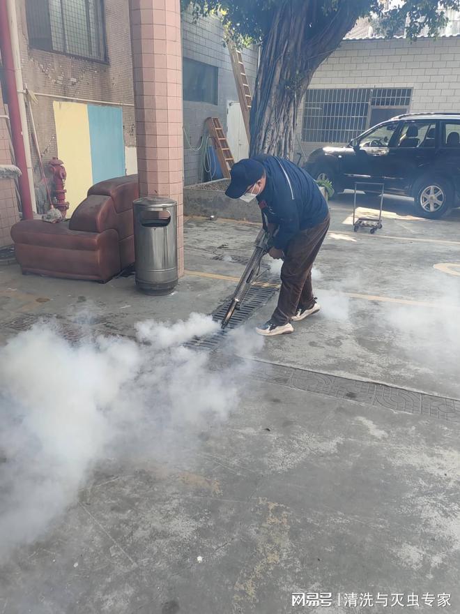 惠州灭鼠怎么收费(图3)