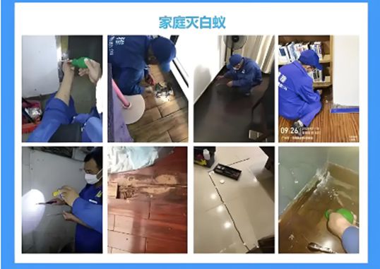 无锡白蚁防治中心无锡白蚁消杀治理公司电话附近上门灭白蚂蚁(图1)