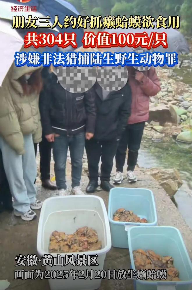 三名男子抓304只癞蛤蟆食用是中华蟾蜍价值3万已移送检察院(图4)
