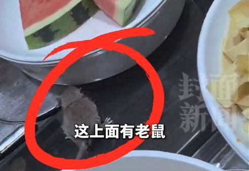 北京一自助火锅店出现老鼠引发广泛关注(图1)