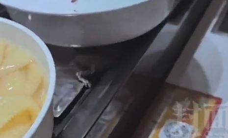 北京一自助火锅店出现老鼠引发广泛关注(图2)