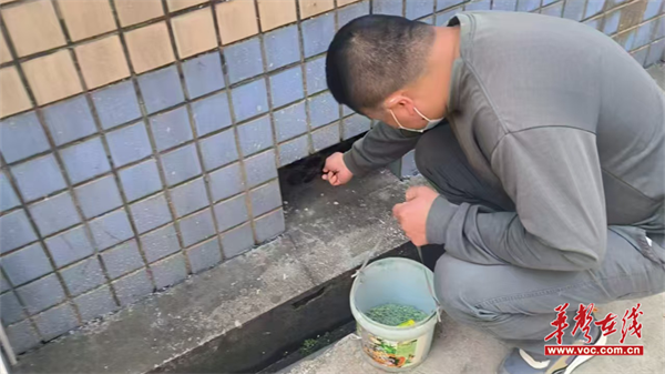 筑牢师生健康防线湘潭市十七中开展校园“除四害”专项行动(图1)