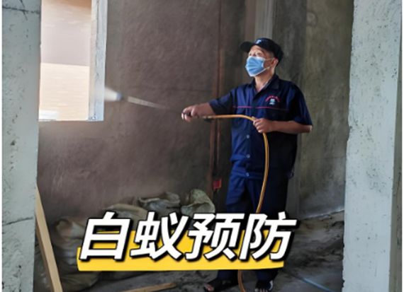 柳州上门专业灭白蚁柳州白蚁防治所服务电话消杀治理(图3)