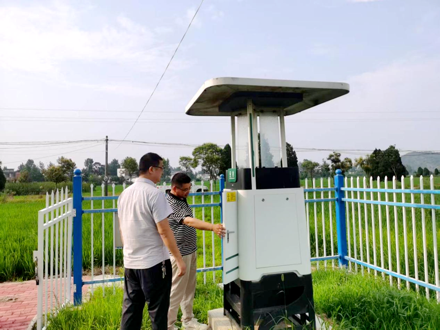 商城县：水稻夏管正当时精心管护保丰收(图1)