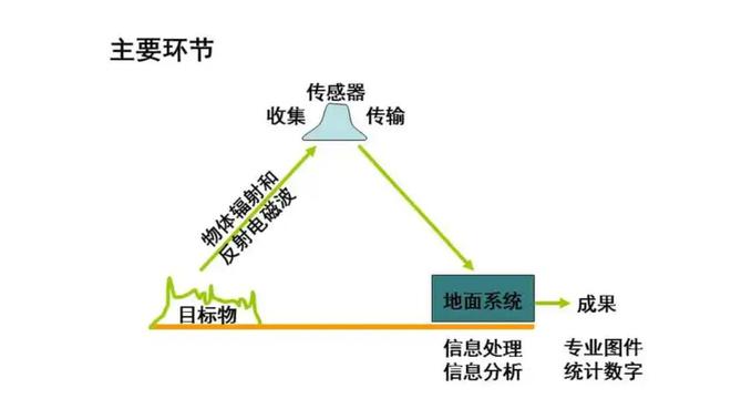 “祸害”我国农民数千年曾人人喊打的蝗虫为何现在很少见了？(图15)