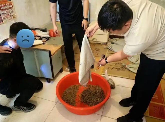 内蒙20人抓野蝎子被捕缴获1500万只价值400万捉蝎子也违法？(图8)