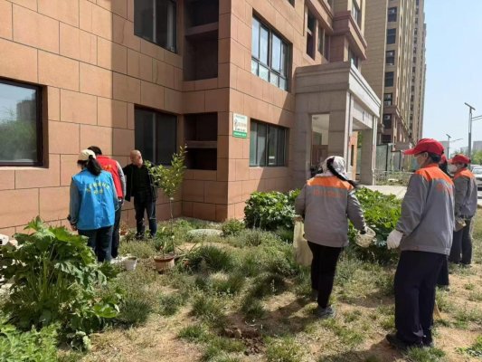 从“心”出发向“新”而行——济南市莱芜区张家洼街道多措并举扎实开展第37个爱国卫生月活动(图1)