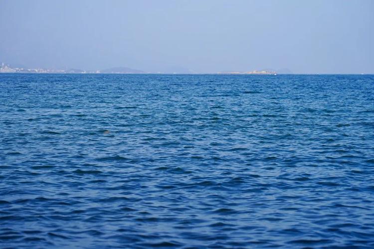 滨州的海_滨州新闻_大众网(图1)
