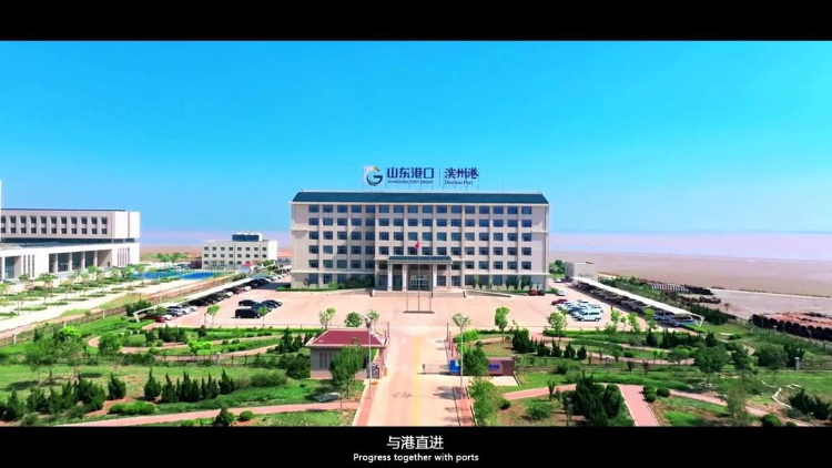 滨州的海_滨州新闻_大众网(图4)