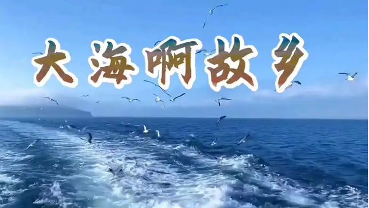 滨州的海_滨州新闻_大众网(图2)