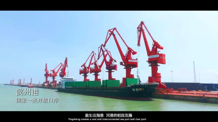 滨州的海_滨州新闻_大众网(图5)