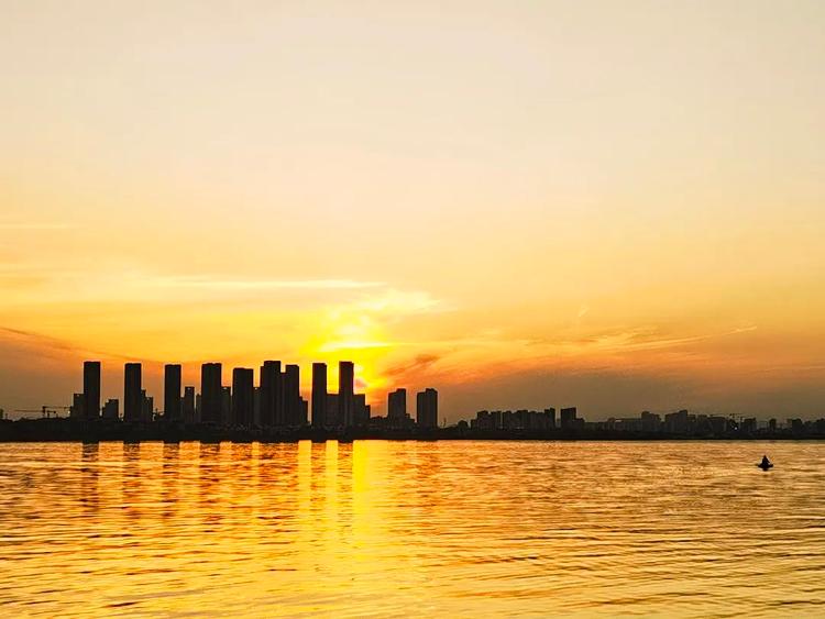 滨州的海_滨州新闻_大众网(图6)