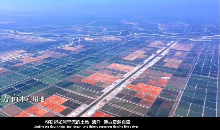滨州的海_滨州新闻_大众网(图7)
