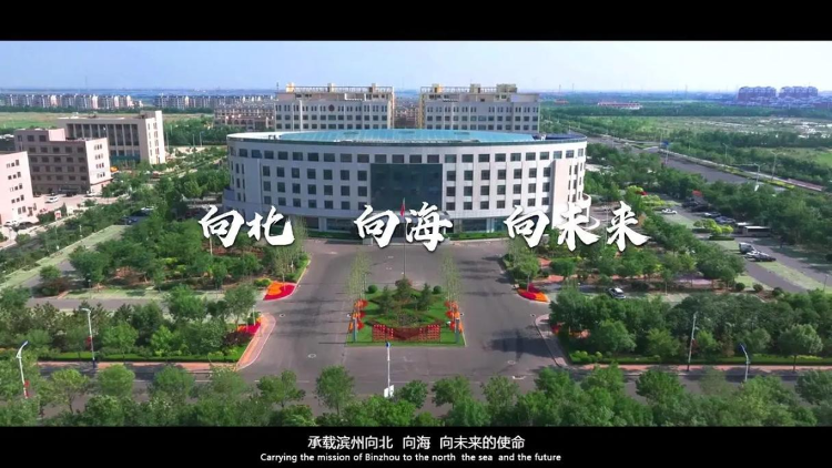 滨州的海_滨州新闻_大众网(图14)