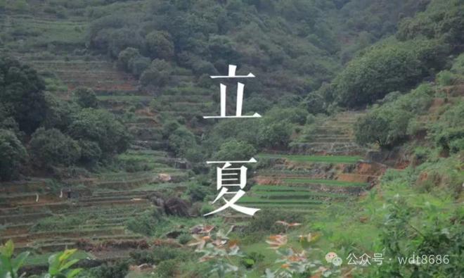 立夏时节到老人说立夏时节有“3怕”具体指啥？看农谚咋说(图1)