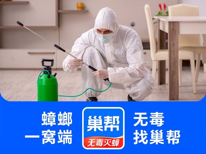 巢帮灭蟑：以科技重塑行业标准守护中国家庭的“无蟑净土”(图1)