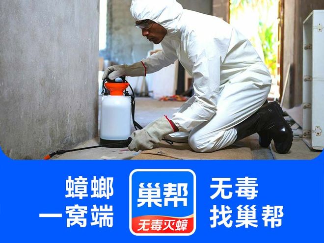 巢帮灭蟑螂：全国专业除蟑螂服务领航者打造无蟑安心家园(图1)