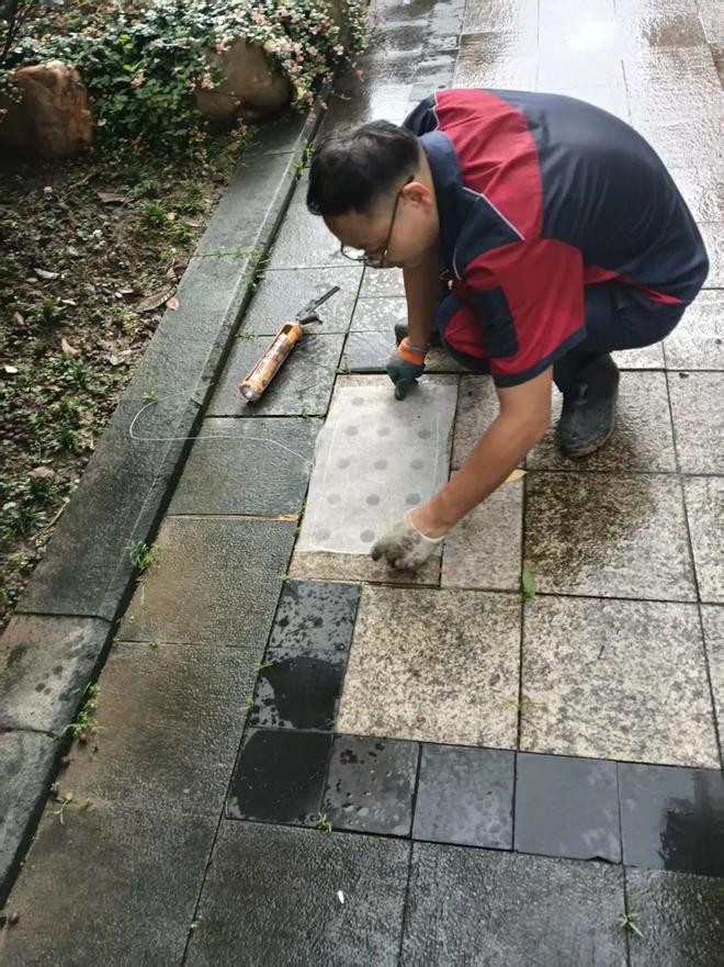 左手精准防疫右手长效治理顺德以危为机促进城乡品质提升(图3)