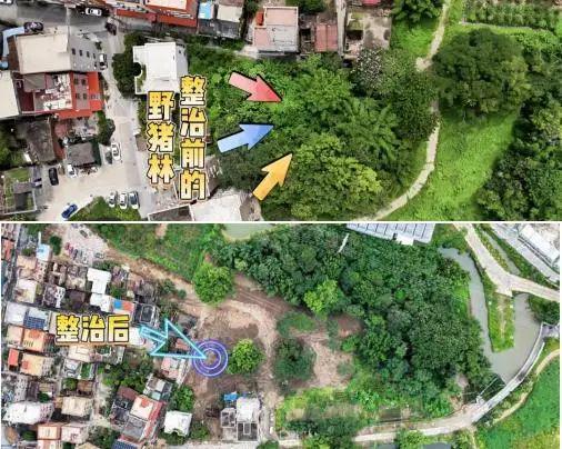 左手精准防疫右手长效治理顺德以危为机促进城乡品质提升(图5)