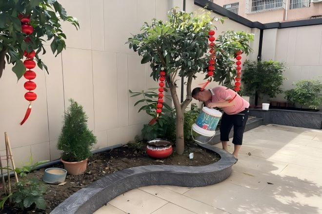 左手精准防疫右手长效治理顺德以危为机促进城乡品质提升(图6)