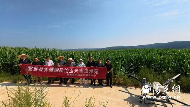 宜君：无人机释放赤眼蜂生物防治助力绿色防控(图2)