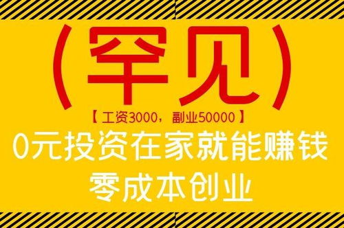 水田可以做什么项目赚钱(图1)