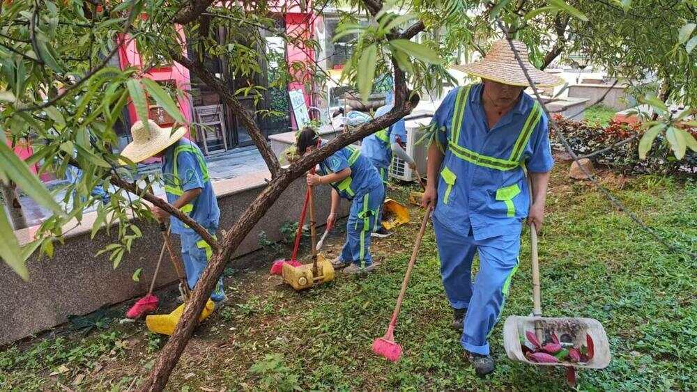 消除蚊媒孳生环境广州天河开展卫生整治专项行动(图1)
