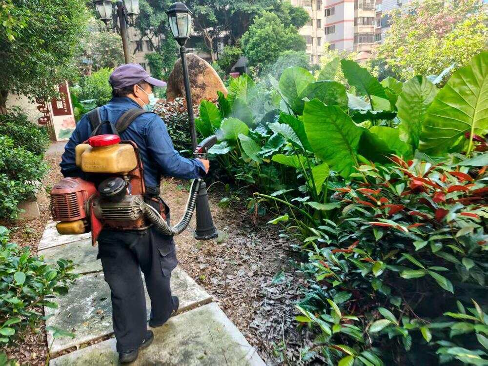 消除蚊媒孳生环境广州天河开展卫生整治专项行动(图2)