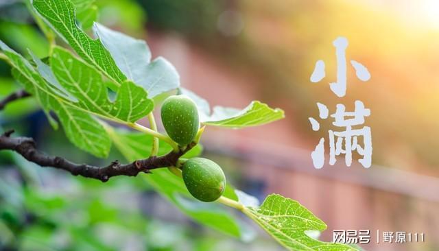 2025小满5月21日凌晨到！农谚里的天气门道您知多少(图6)